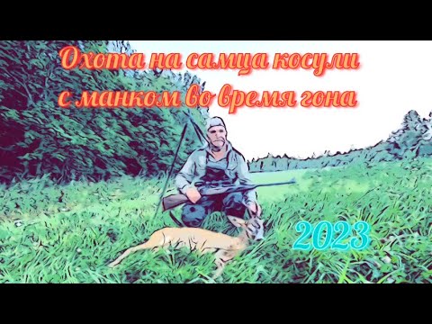 Видео: Охота на самца косули с манком во время гона 2023