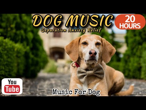 Видео: 20 часов любимой музыки собак🐶💖Музыка для сна собак 🐶🎵 Музыка для снятия беспокойства при разлуке🎵