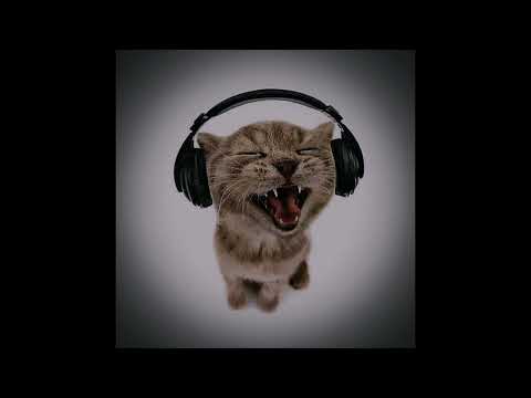 Видео: Денис Майданов - Пролетая над нами (speed up)