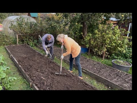 Видео: Подготовили грядку под чеснок/ Помыли 🧽 теплицу 🏡👍😊