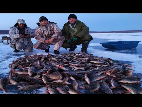 Видео: рыбалка в бурятии. зимняя рыбалка в бурятии в апреле рыбалка на озере капилюши