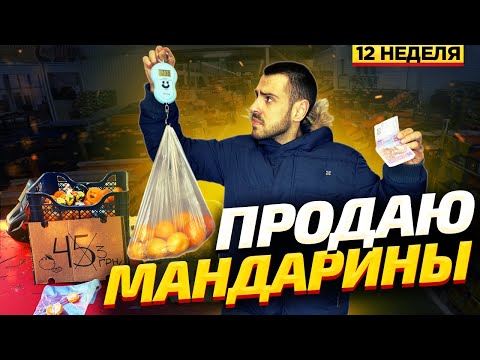 Видео: Сколько можно заработать торгуя мандаринами под Новый Год?