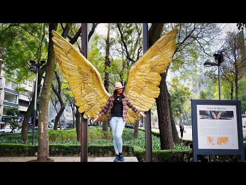 Видео: Это Мехико!? Вот почему Condesa, Roma Norte и Juarez удивят вас