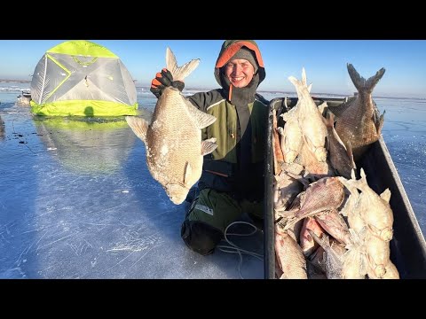 Видео: ВОТ ЭТО МОНСТРЫ!!! КРУПНЯК ДУРЕЕТ ОТ ЭТОЙ ПРИКОРМКИ! Рыбалка с ночевкой. Зимняя рыбалка 2025.