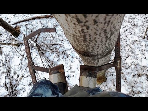 Видео: Как залезть на любое (почти) дерево