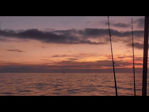 Видео: Уловистые снасти для ловли бычка, май  2020