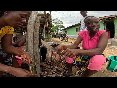 Видео: Кухня улиток: вкус деревенской жизни