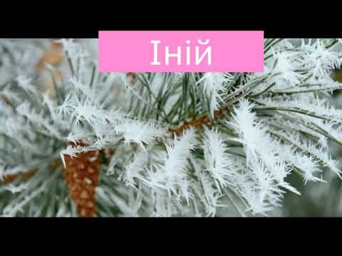 Видео: Якою буває погода? ЯДС, 4 клас