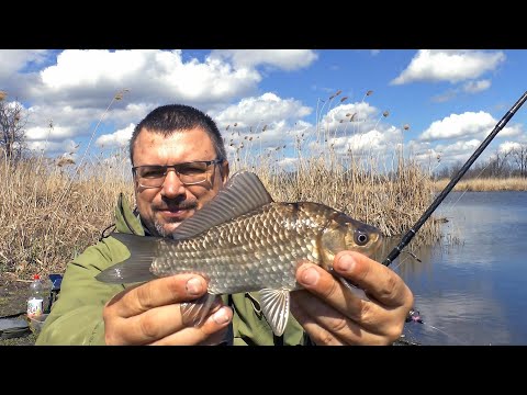 Видео: Карась на донку ранней весной. Монтаж и прикормка для весеннего карася. Лучший монтаж на карася.