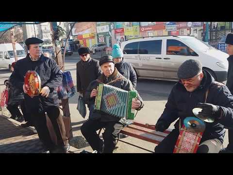 Видео: Гармонисты Кременчуга 252.  Полька.