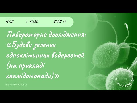 Видео: Лабораторне дослідження: «Будови зелених одноклітинних (на прикладі хламідомонади)»