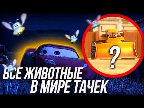 Видео: ВСЕ ЖИВОТНЫЕ В МИРЕ ТАЧЕК И САМОЛЕТОВ/ ПРОДОЛЖЕНИЕ