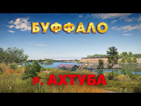 Видео: ФАРМ НА БУФФАХ  на р. АХТУБА| РУССКАЯ РЫБАЛКА 4 | СТРИМ