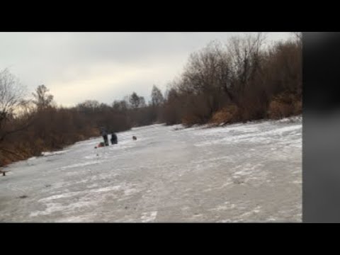 Видео: Рыбалка в эфире Зимняя