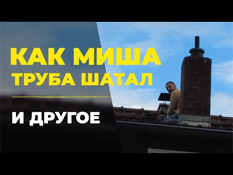 Видео: РЕМОНТ ПРОДОЛЖАЕТСЯ. ВЫПАЛ ПТЕНЕЦ. БАМБЕРГ. ДОМА ДЖУНГЛИ. ПРЕВЬЮШКУ ДЕЛАТЬ ЛЕНЬ)