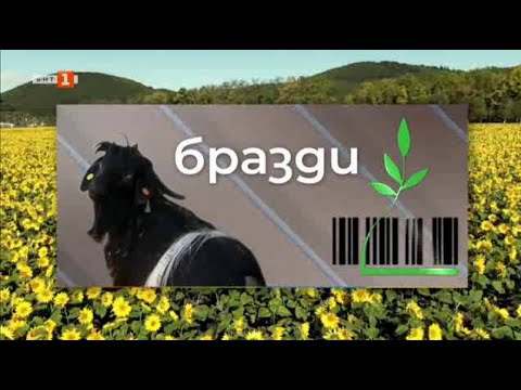 Видео: Защо няма пасища за животновъдите в Централен Балкан? "Бразди" - 03.12.2022 по БНТ