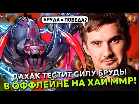 Видео: ДАХАК ТЕСТИТ СИЛУ БРУДЫ В ОФФЛЕЙНЕ НА ХАЙ ММР! | DAXAK BROODMOTHER STREAM DOTA 2