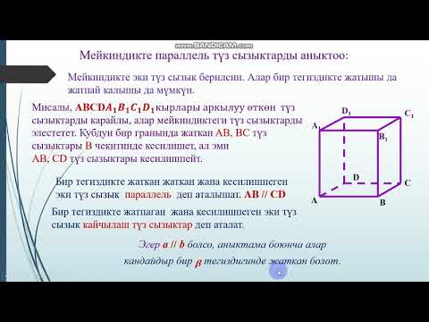 Видео: Кыргызча геометрия. 10 класс Кайчылаш түз сызыктар