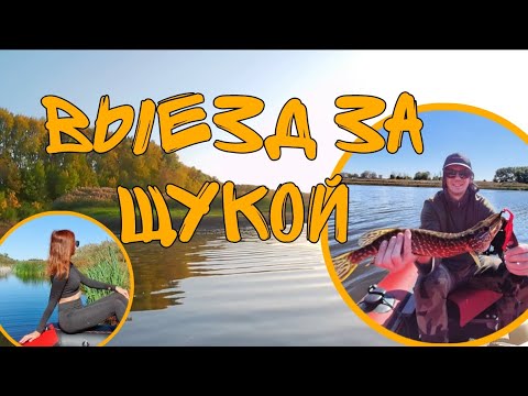 Видео: Выезд за щукой I Kitt Boats I Hangkai 6.0 I Воронежская область 