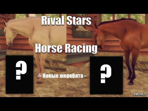 Видео: Rival Stars Horse Racing. Новые жеребята и сложности разведения!