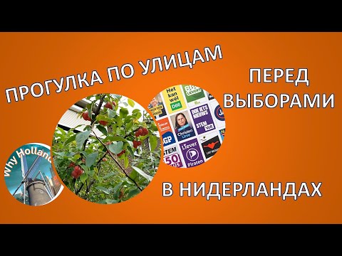 Видео: Прогулка по улицам перед выборами в Нидерландах🇳🇱Жизнь в 2025 Голландская деревня, города Голландии