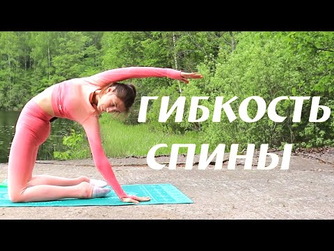 Видео: Тренировка на гибкость спины. Упражнения для гибкой спины