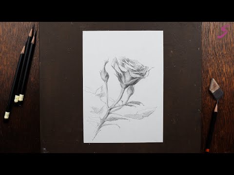 Видео: Марафон «На старт, внимание, май!». 2.Роза