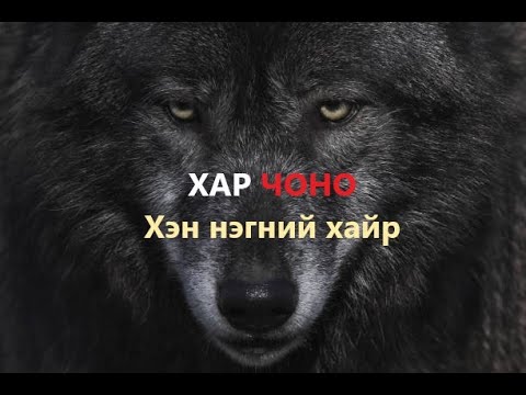 Видео: Хар чоно хамтлаг- Хэн нэгний хайр, har chono - hen negnii hair