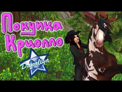 Видео: Долгожданная Покупка Криолло |Star Stable Online|