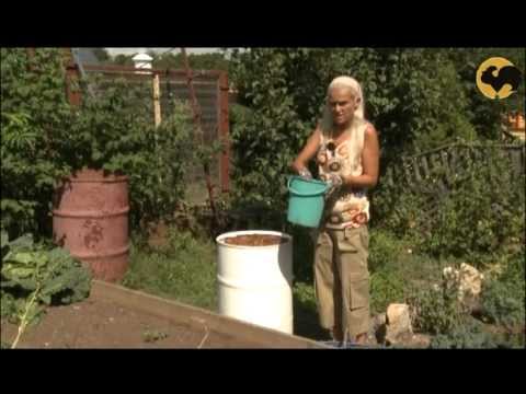 Видео: Маскируем сад. САД день за днем №14.