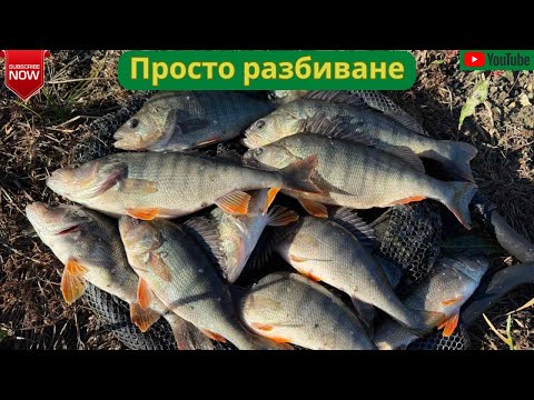 Видео: Разбиване на яз. Бели Лом