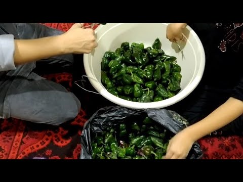 Видео: РАБОТА ЗАКОНЧЕНА