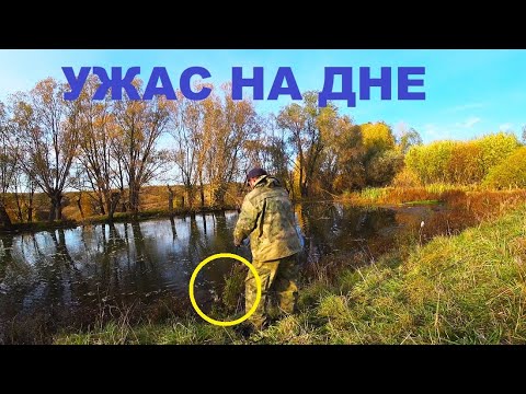 Видео: ХОЛОДОК ПРОБЕЖАЛ ПО ТЕЛУ КОГДА Я ВЫДЕРНУЛ ЭТО ИЗ ИЛА! ВОТ ЭТО НАХОДКА!!!