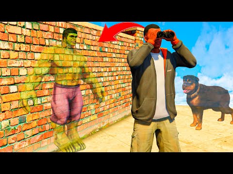 Видео: ФРАНКЛИН ЕЛЕС ДОСТАРЫН ІЗДЕДІ (GTA V)