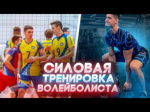 Видео: Физическая подготовка в волейболе. Силовая тренировка в игровом сезоне.