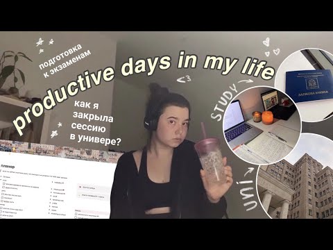 Видео: study with me // много учёбы, учись со мной, сессия 🇺🇸