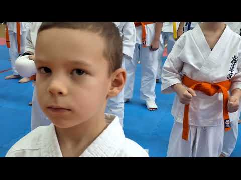 Видео: Откриха 21-вото първенство по карате киокушин в "Аквалайф", OPEN