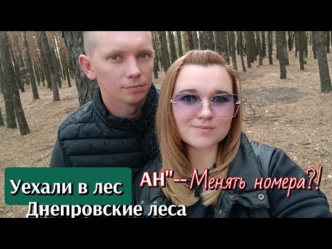 Видео: ЗАВТРАК ОТ МУЖА/УЕХАЛИ В ЛЕС,А ГРИБОВ НЕТ.....