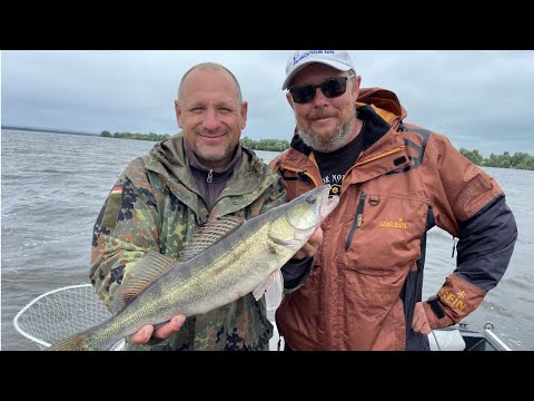 Видео: Не сидите дома! Рыбалка в непогоду на Волге. Ловля судака на резину.