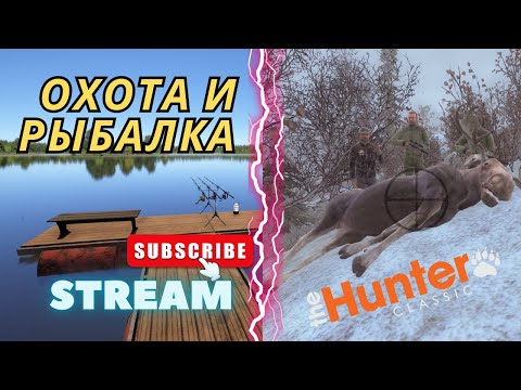 Видео: 🔥 Stream🔥Русская Рыбалка 4 🔴The Hunter Classic🔴Охота на трофеев🔴Охота и рыбалка