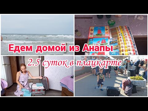 Видео: Едем домой из Анапы// 2.5 суток в плацкарте// Классный текстиль для дома "Любимый Василёк"// 2023//