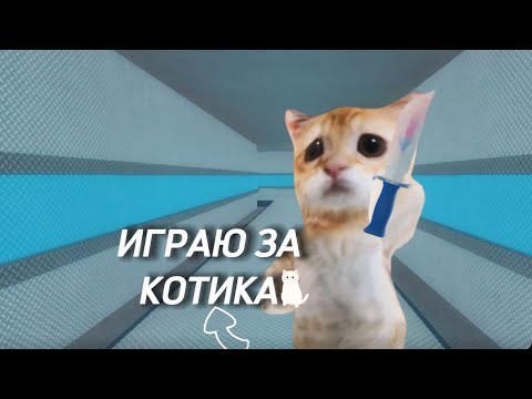 Видео: ИГРАЮ ЗА КОТИКА В ММ2/mm2🤩/kristixxs🎀