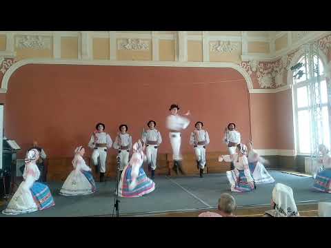 Видео: Ансамбль народного танцю ДІБРОВА.  Березнянка