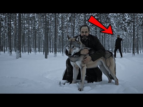 Видео: Вы не поверите, что СЛУЧИЛОСЬ С ВОЛКОМ спустя 4 года ожидания у дома!