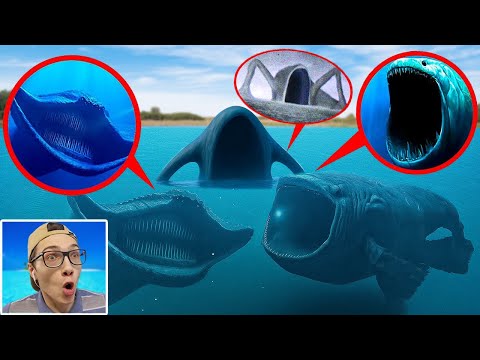 Видео: мой дрон ПОЙМАЛ БЛУПА ПОЖИРАТЕЛЯ МОРЕЙ vs ЭЛЬ ГРАН МАЙЯ В РЕАЛЬНОЙ ЖИЗНИ!