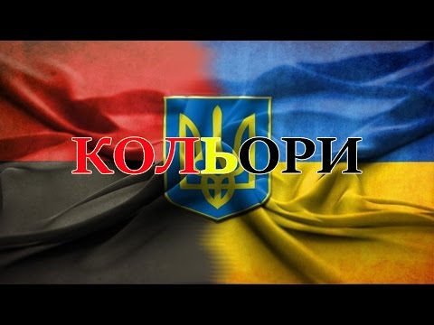 Видео: "КОЛЬОРИ"