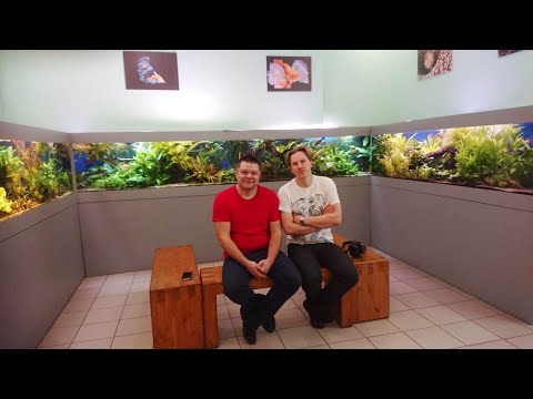 Видео: Рязанский акванариум