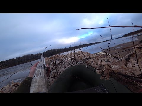 Видео: Сделал из лодки скрадок на песке, утки налетают в упор! Охота на утку с чучелами на реке Вычегда.