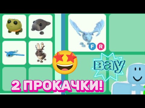 Видео: 2 ПРОКАЧКИ ПОДПИСЧИЦЫ!|ВЫПОЛНИЛ ЦЕЛИ?!|Адопт ми