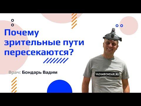 Видео: Почему зрительные пути пересекаются? Теория Somatic Twist